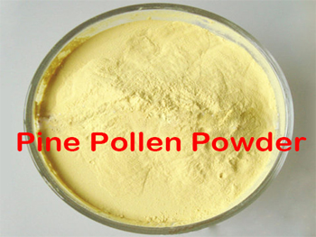 Pine Pollen Powder: The Sustainable Choice for Bulk Health Ingredients